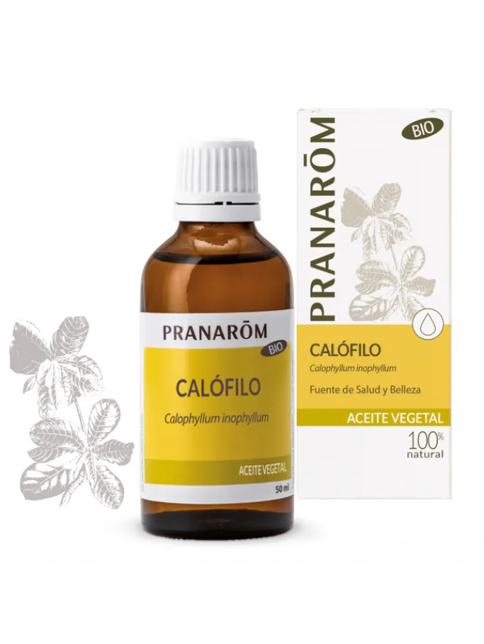 Óleo Vegetal de Calofilo Bio 50ml