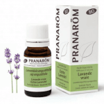 Óleo Essencial Lavanda Angustifolia (Vera) (Fina) Bio 10ml